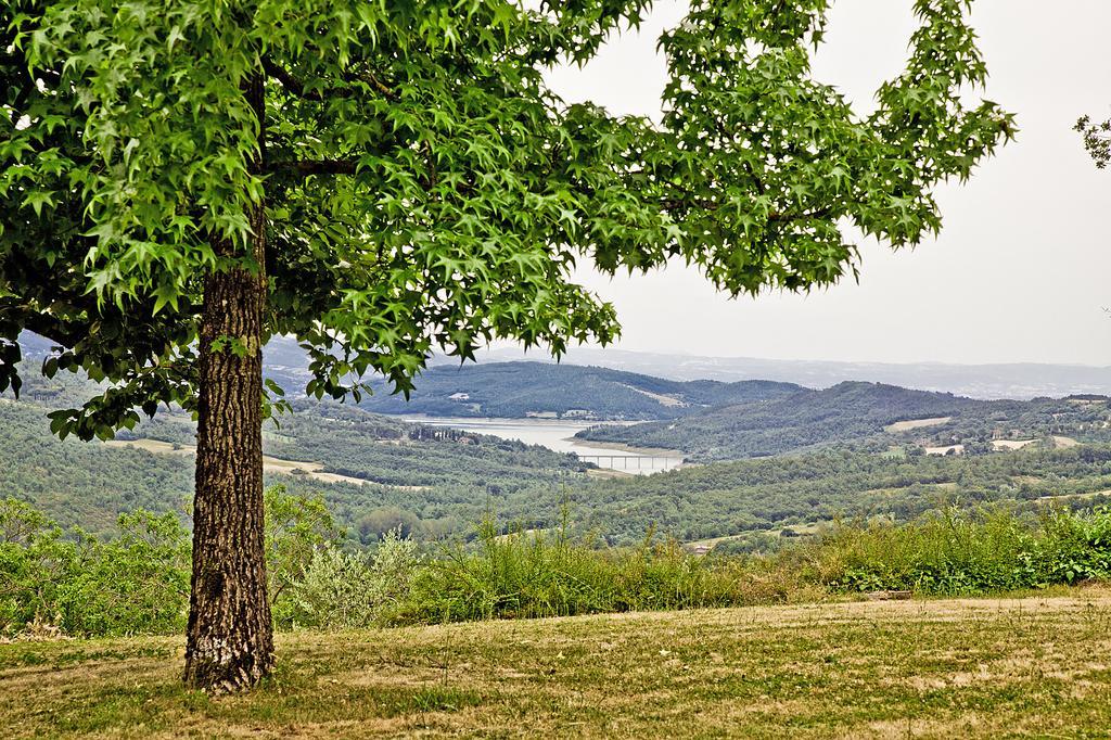 Agriturismo Terra Di Michelangelo Caprese Michelangelo Экстерьер фото
