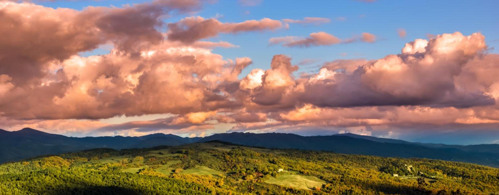 Agriturismo Terra Di Michelangelo Caprese Michelangelo Экстерьер фото