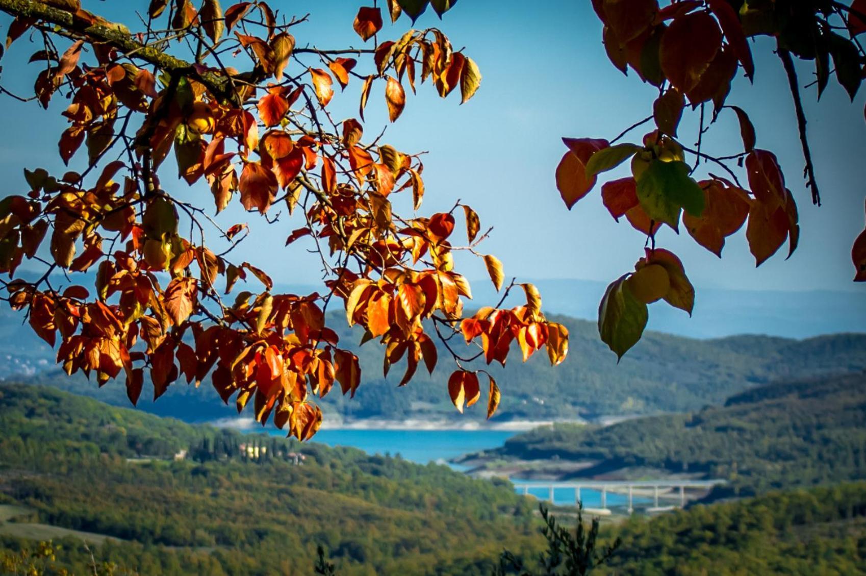Agriturismo Terra Di Michelangelo Caprese Michelangelo Экстерьер фото