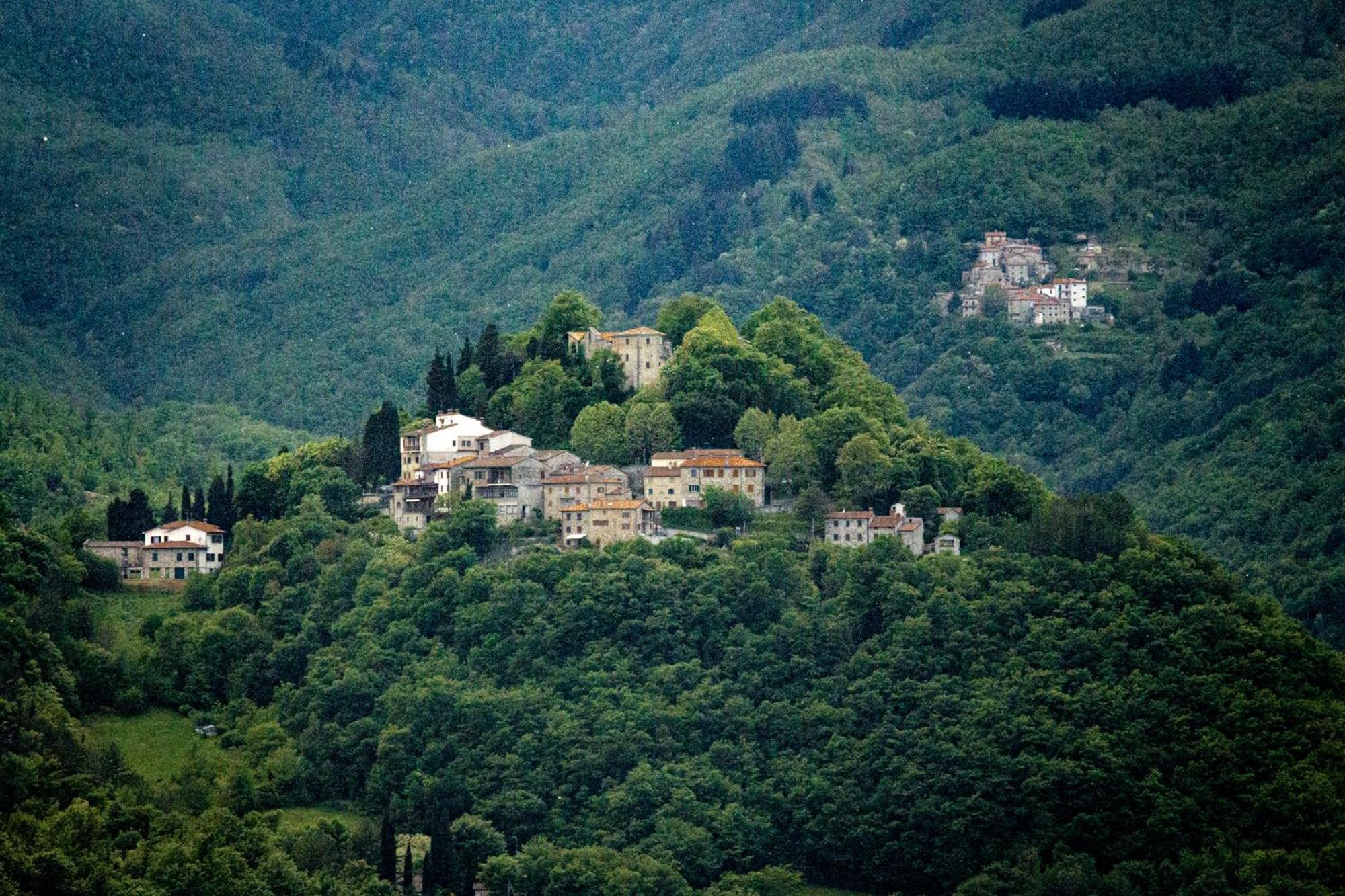 Agriturismo Terra Di Michelangelo Caprese Michelangelo Экстерьер фото